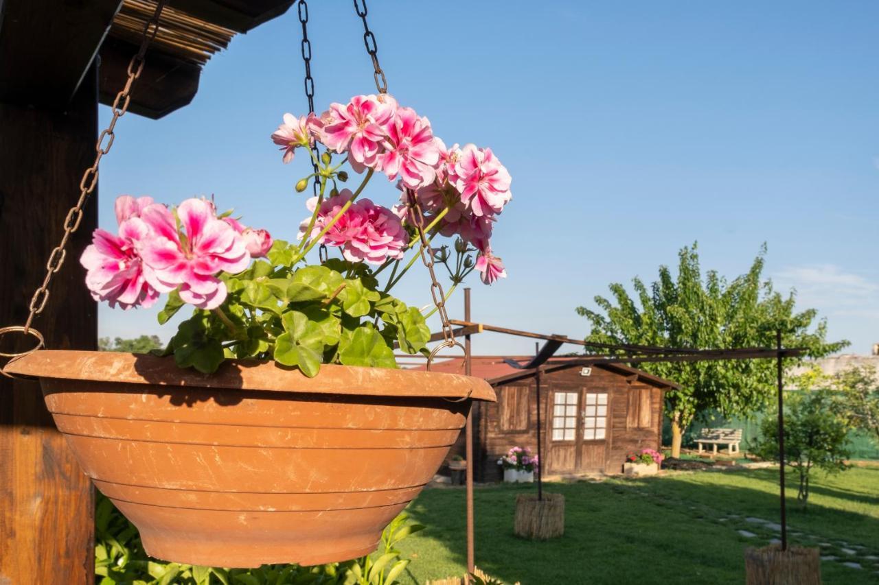 Bed and Breakfast A Lu Fanizza Cutrofiano Exterior foto